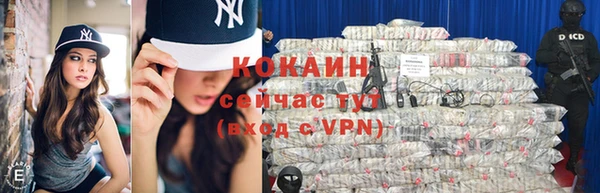 спиды Магас